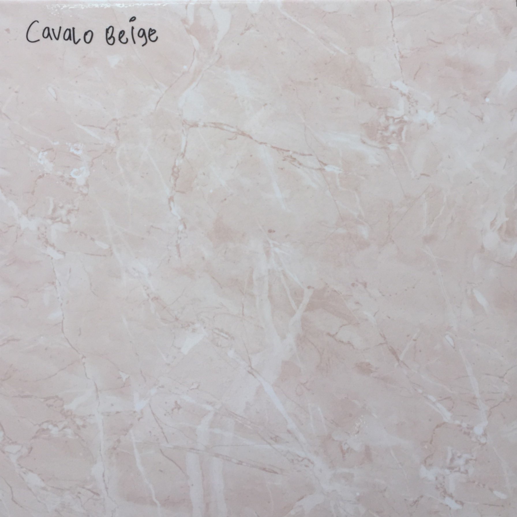 CAVALLO BEIGE Mulia